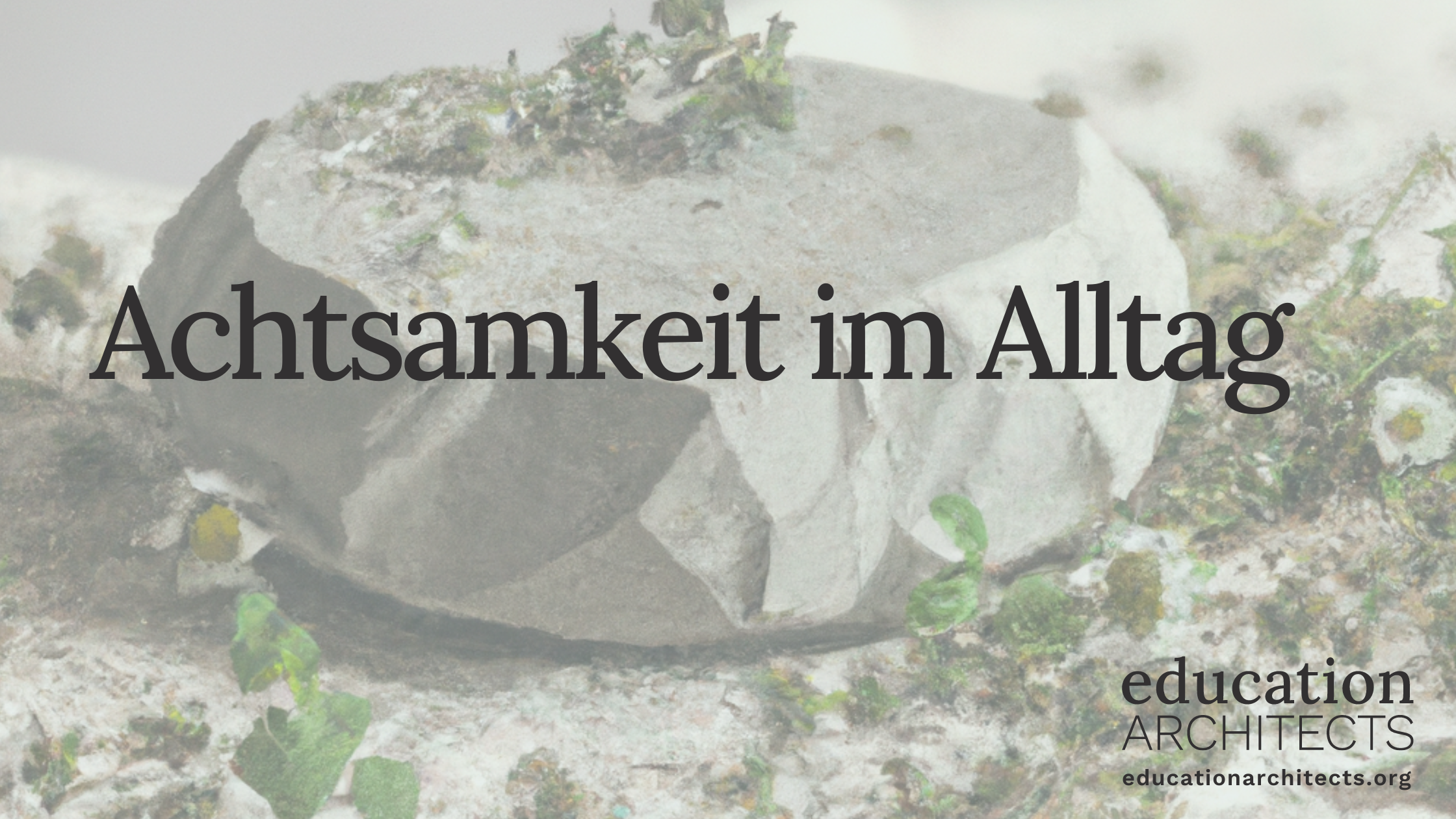 Achtsamkeit im Alltag: Gewohnheiten, Routinen und Rituale mit Humor und Leichtigkeit meistern